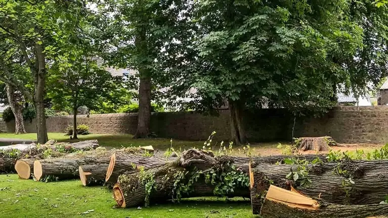 Landscaping and tree services business